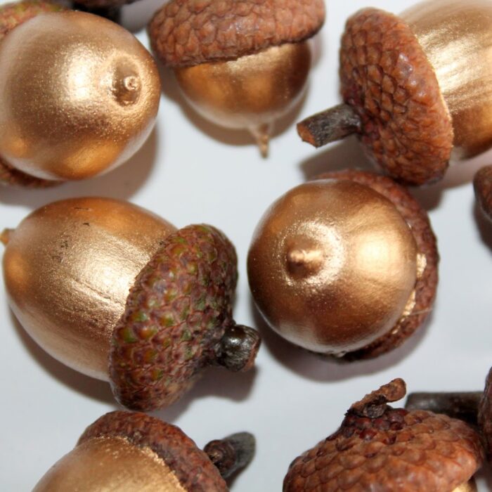 DIY goldene Eicheln selber machen! Herbstdekoration schnell, edel und gold? Mit dieser Bastelidee klappt es ganz einfach!