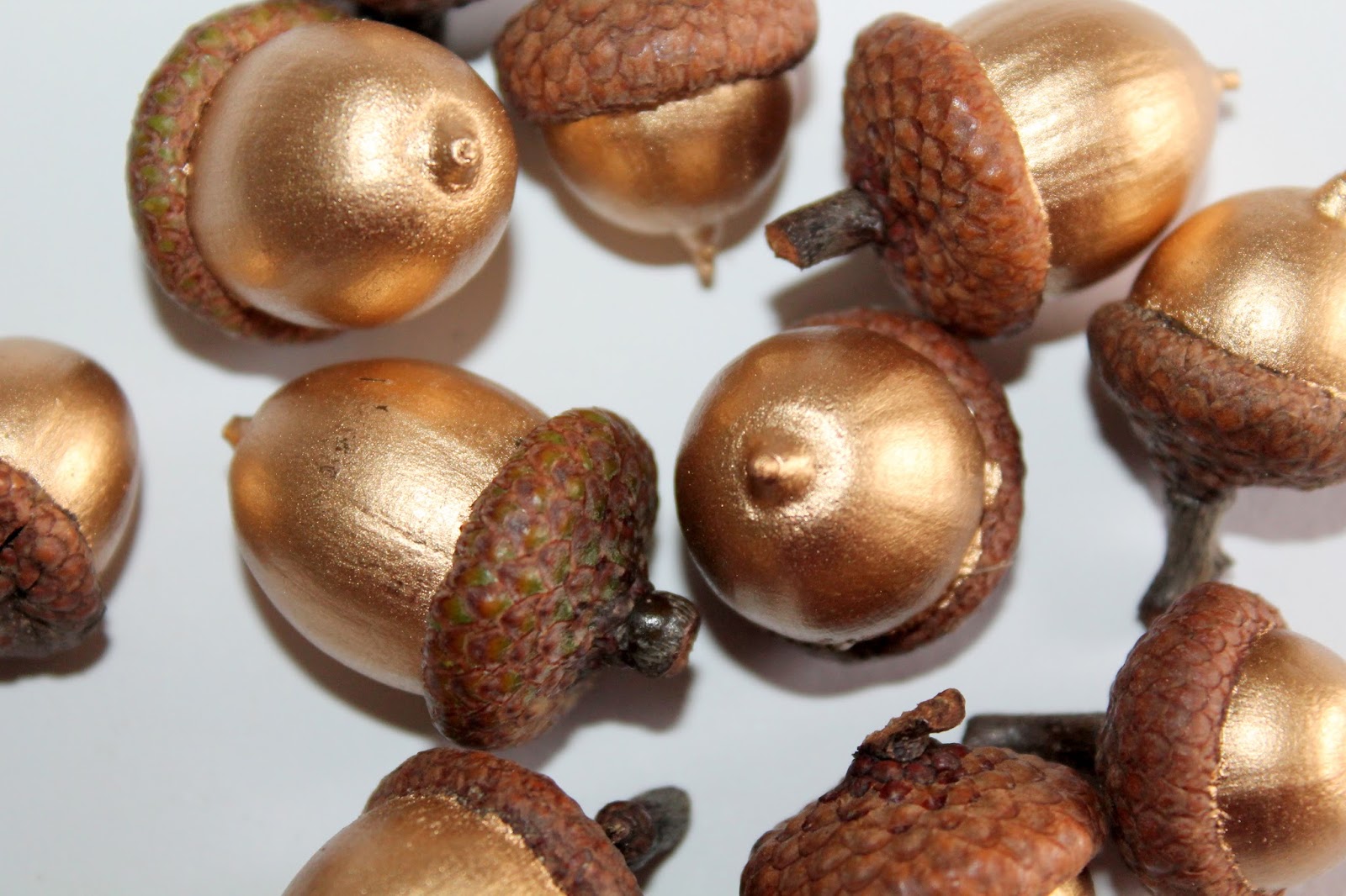 DIY goldene Eicheln selber machen! Herbstdekoration schnell, edel und gold? Mit dieser Bastelidee klappt es ganz einfach!