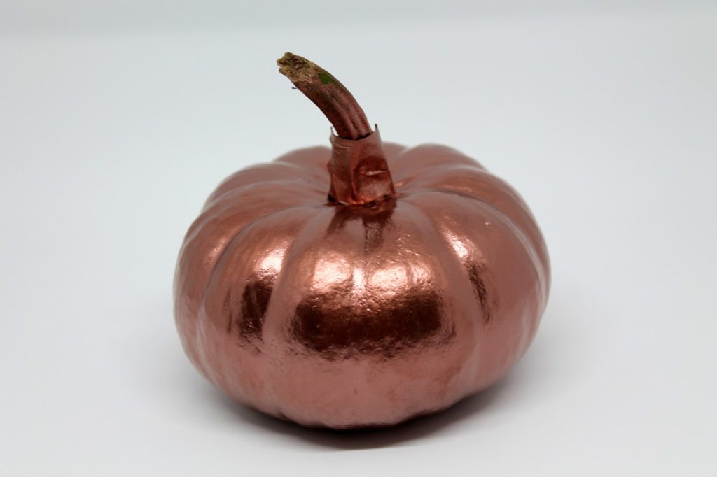 DIY, Basteln: Kürbisse in Kupfer in Dekoration, Herbstdekoration, Basteln mit Naturmaterialien - DIYCarinchen DIY, Basteln: Kürbisse in Kupfer in Dekoration, Herbstdekoration, Basteln mit Naturmaterialien - DIYCarinchen