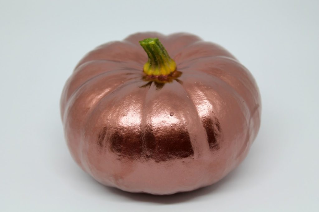 DIY, Basteln: Kürbisse in Kupfer in Dekoration, Herbstdekoration, Basteln mit Naturmaterialien - DIYCarinchen DIY, Basteln: Kürbisse in Kupfer in Dekoration, Herbstdekoration, Basteln mit Naturmaterialien - DIYCarinchen