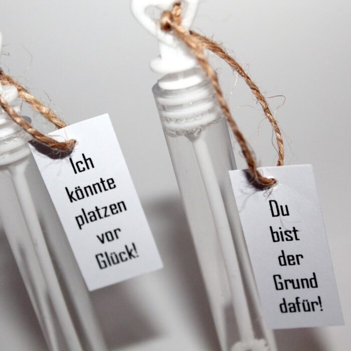 DIY Geschenk Herzchenseifenblasen / Wedding Bubbles ♡♡♡ Perfekt für den Valentinstag oder doch für die Hochzeit? ♡♡♡