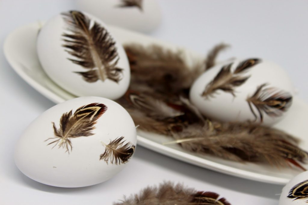 Schnelle Osterdekoration selber machen: DIY Ostereier mit Federn bekleben Schnelle Osterdekoration selber machen: DIY Ostereier mit Federn bekleben