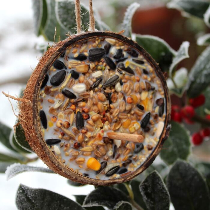 selbstgemachtes Vogelfutter in Kokosnuss