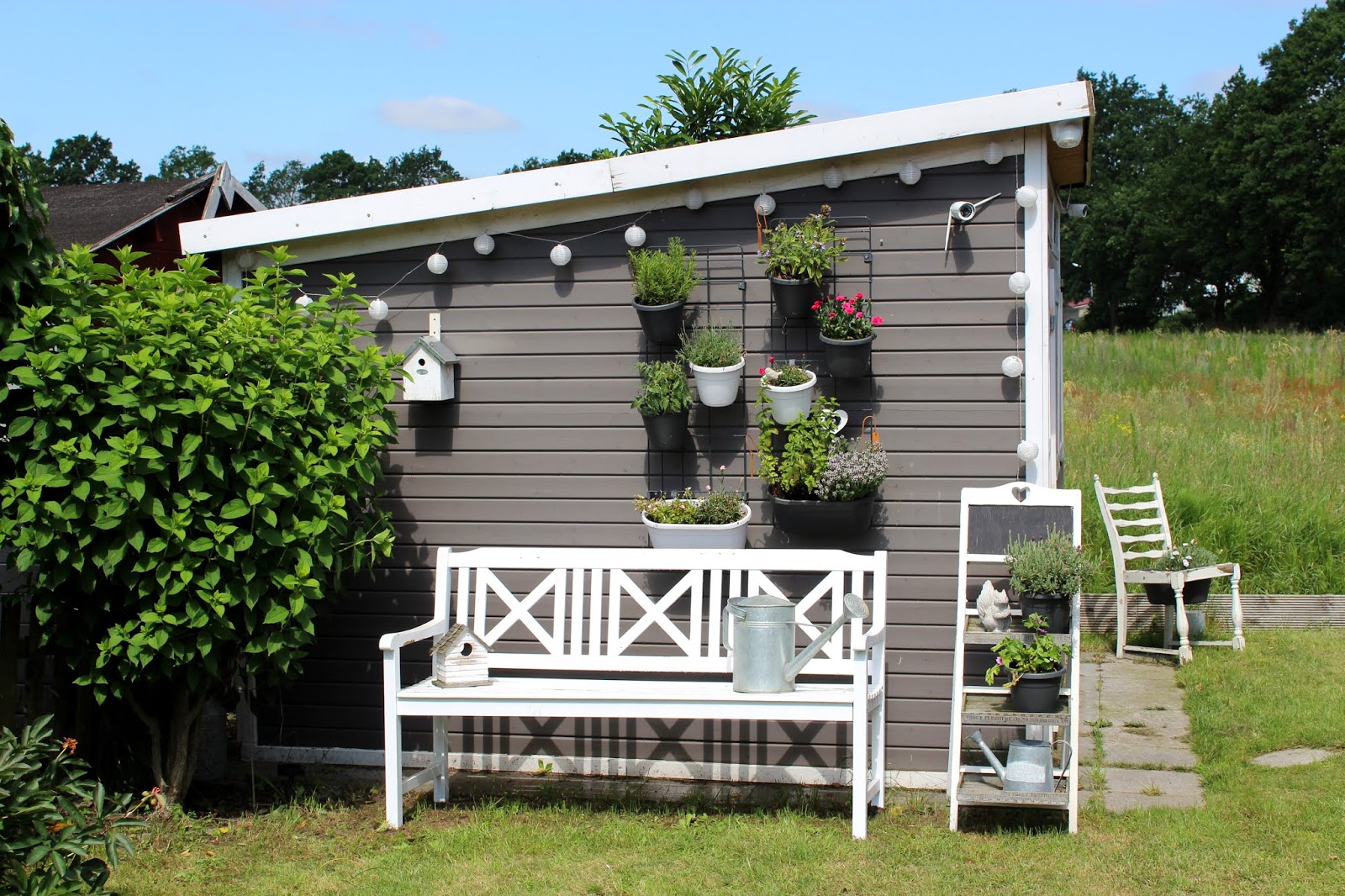 Garten, Pflanzen, Blumentöpfe, Urban Gardening