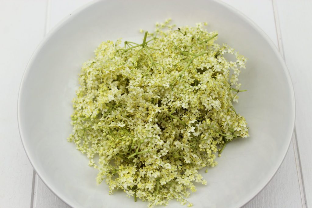 Rezept - Holunderblütensirup selber machen - so schnell und einfach geht es Rezept - Holunderblütensirup selber machen - so schnell und einfach geht es