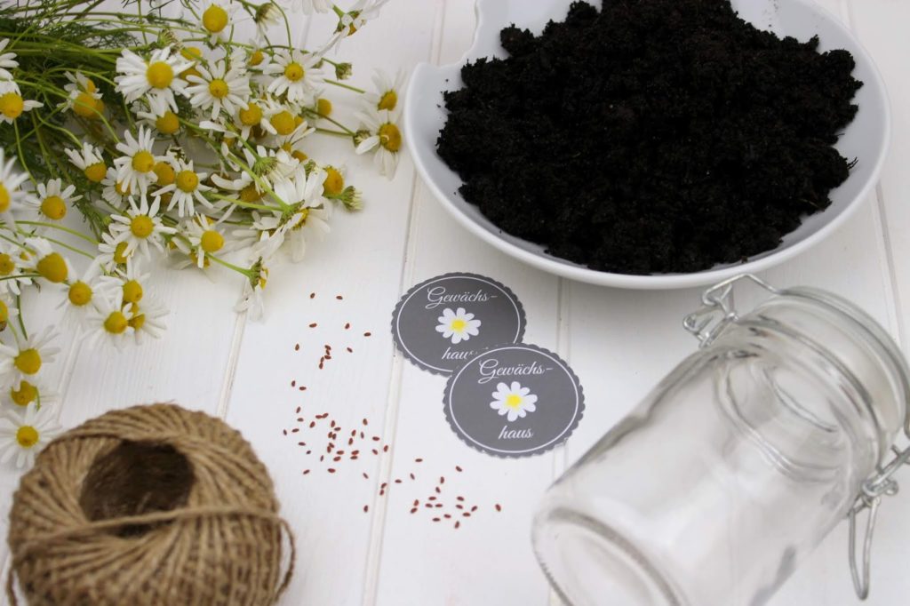 DIY - Mini Gewächshaus im Glas - perfekte Geschenkidee für den Sommer + gratis Etikett DIY - Mini Gewächshaus im Glas - perfekte Geschenkidee für den Sommer + gratis Etikett