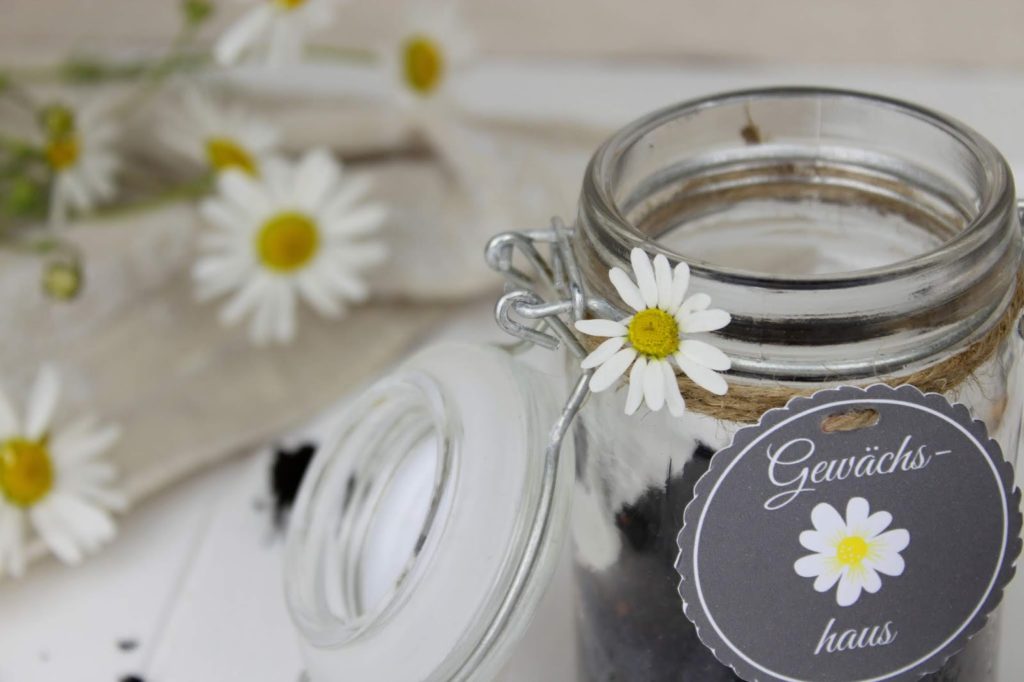 DIY - Mini Gewächshaus im Glas - perfekte Geschenkidee für den Sommer + gratis Etikett DIY - Mini Gewächshaus im Glas - perfekte Geschenkidee für den Sommer + gratis Etikett