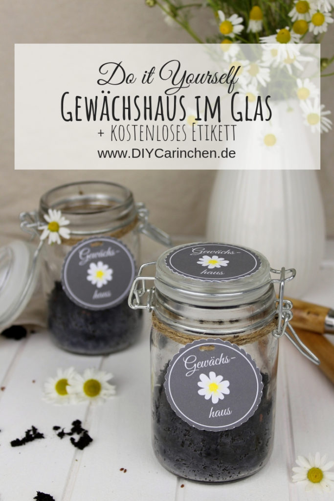 DIY - Mini Gewächshaus im Glas - perfekte Geschenkidee für den Sommer + gratis Etikett DIY - Mini Gewächshaus im Glas - perfekte Geschenkidee für den Sommer + gratis Etikett