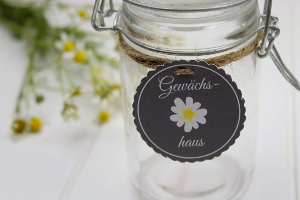 DIY - Mini Gewächshaus im Glas - perfekte Geschenkidee für den Sommer + gratis Etikett DIY - Mini Gewächshaus im Glas - perfekte Geschenkidee für den Sommer + gratis Etikett