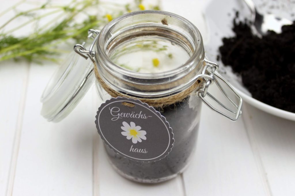 DIY - Mini Gewächshaus im Glas - perfekte Geschenkidee für den Sommer + gratis Etikett DIY - Mini Gewächshaus im Glas - perfekte Geschenkidee für den Sommer + gratis Etikett