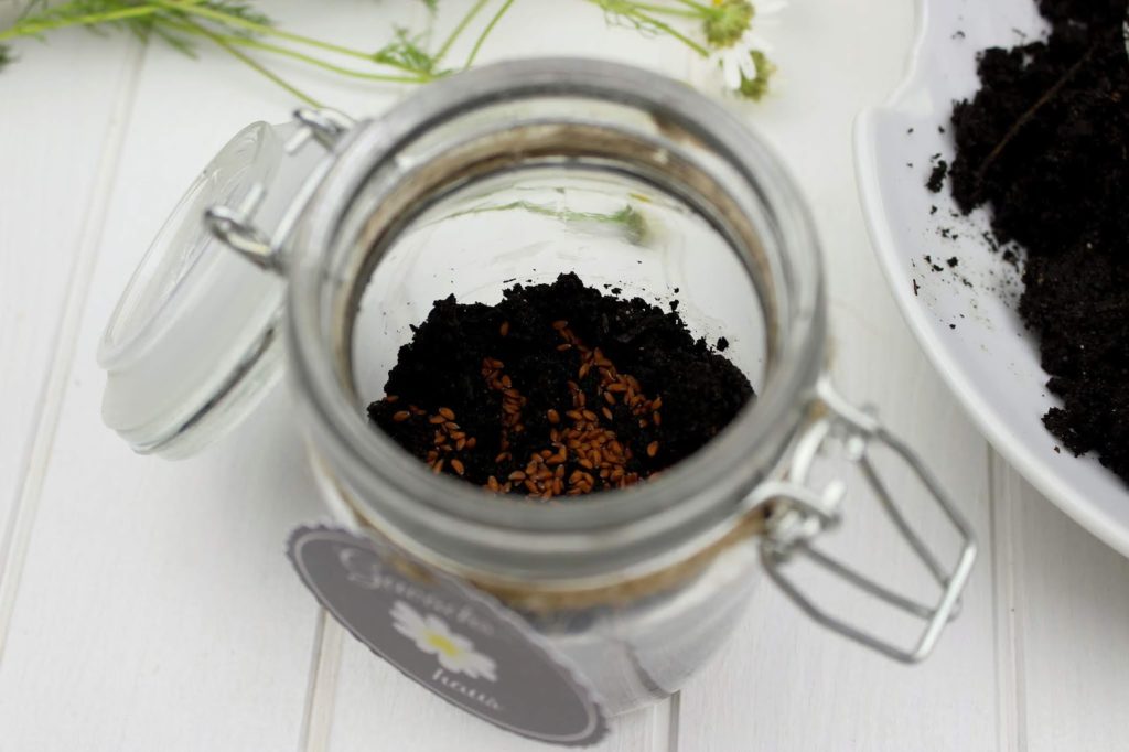 DIY - Mini Gewächshaus im Glas - perfekte Geschenkidee für den Sommer + gratis Etikett DIY - Mini Gewächshaus im Glas - perfekte Geschenkidee für den Sommer + gratis Etikett