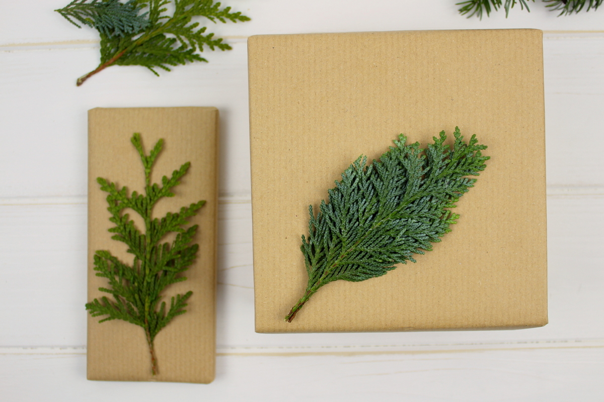 Selbstgemachte Geschenkverpackung zu Weihnachten mit Tanne / Konifere