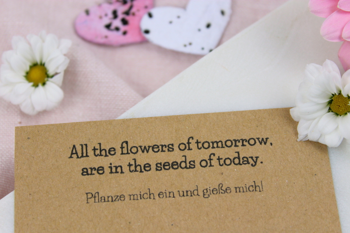 DIY - Seedbombs | Samenbomben | blühendes Konfetti basteln