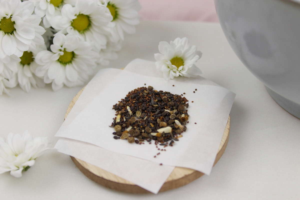 DIY - Seedbombs | Samenbomben | blühendes Konfetti basteln