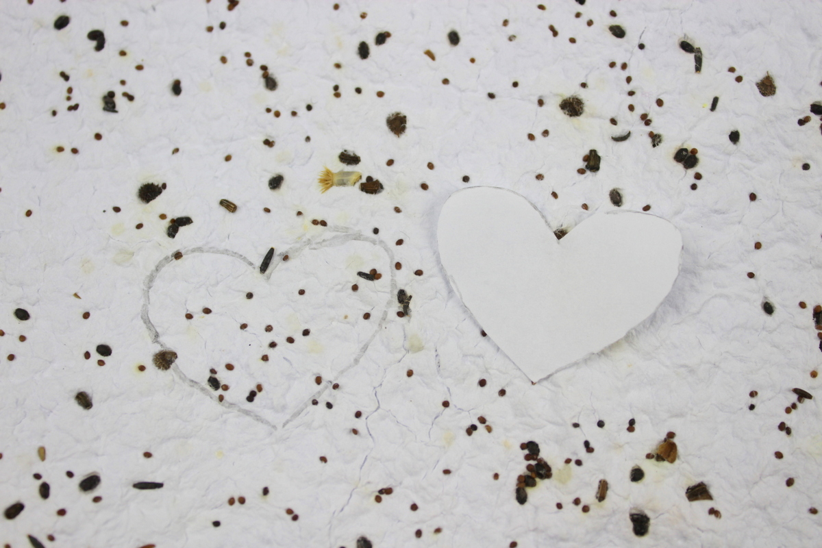 DIY - Seedbombs | Samenbomben | blühendes Konfetti basteln