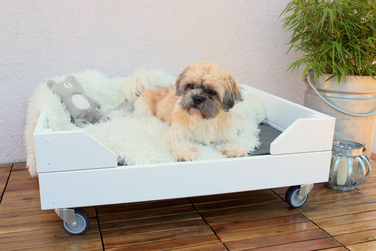 Selbstgebautes Hunde Outdoor-Bett aus Holz
