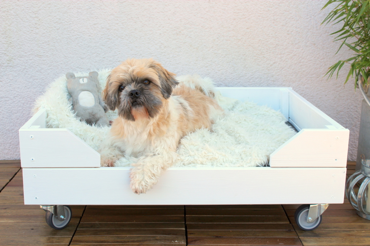 Selbstgebautes Hunde Outdoor-Bett aus Holz