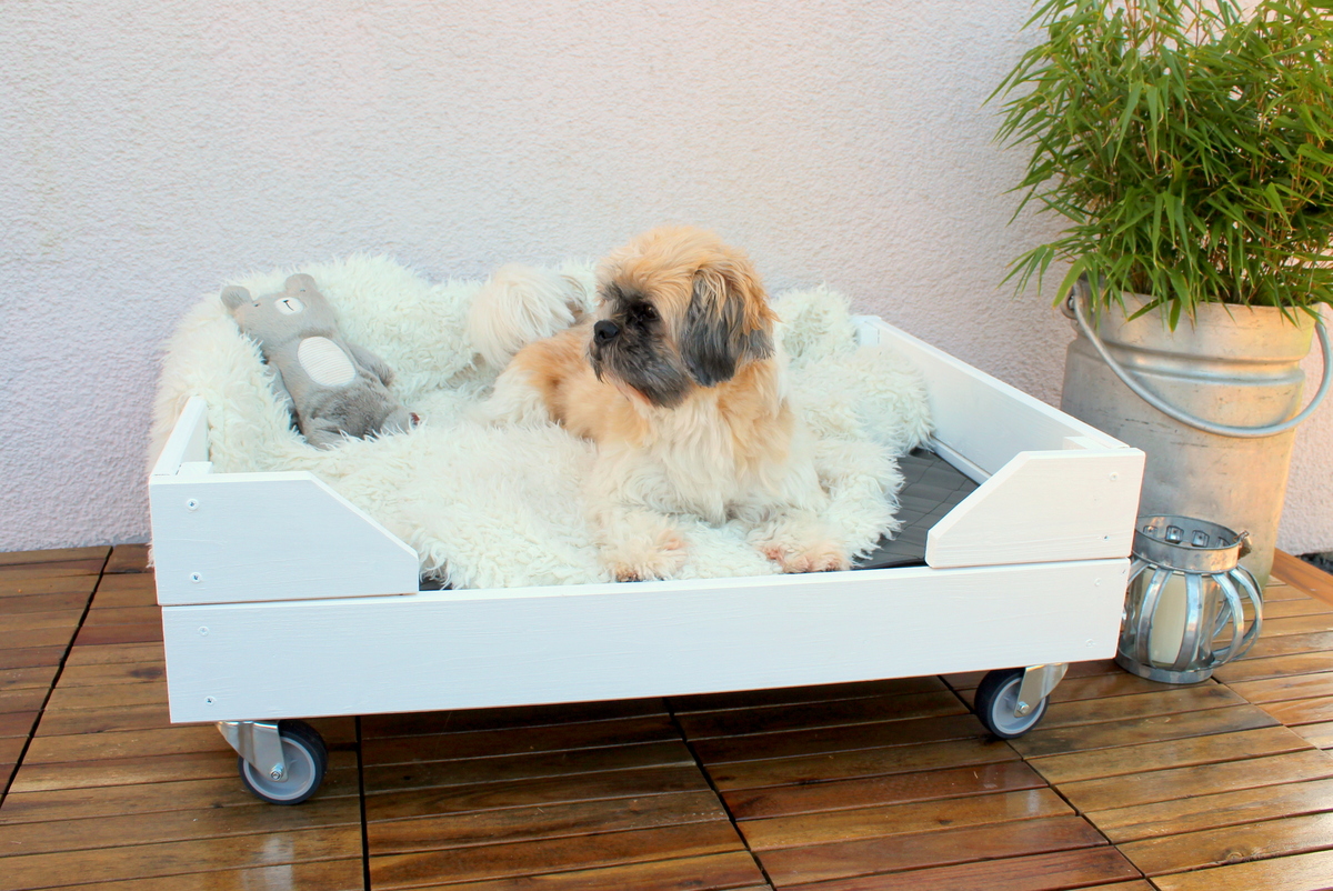 Selbstgebautes Hunde Outdoor-Bett aus Holz