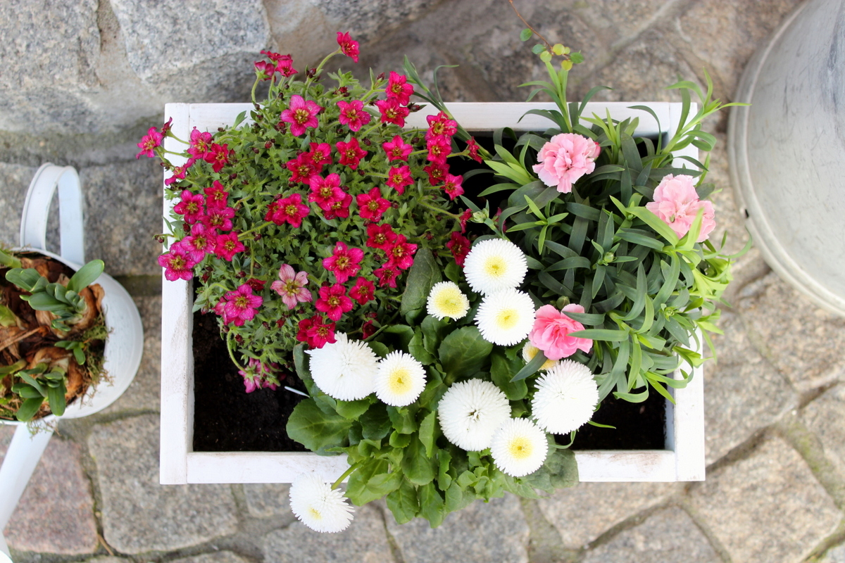 selbstgemachte / selbstgebaute Pflanzkübel aus Holz