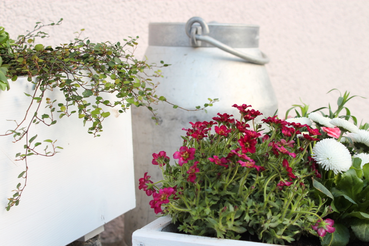 selbstgemachte / selbstgebaute Pflanzkübel aus Holz