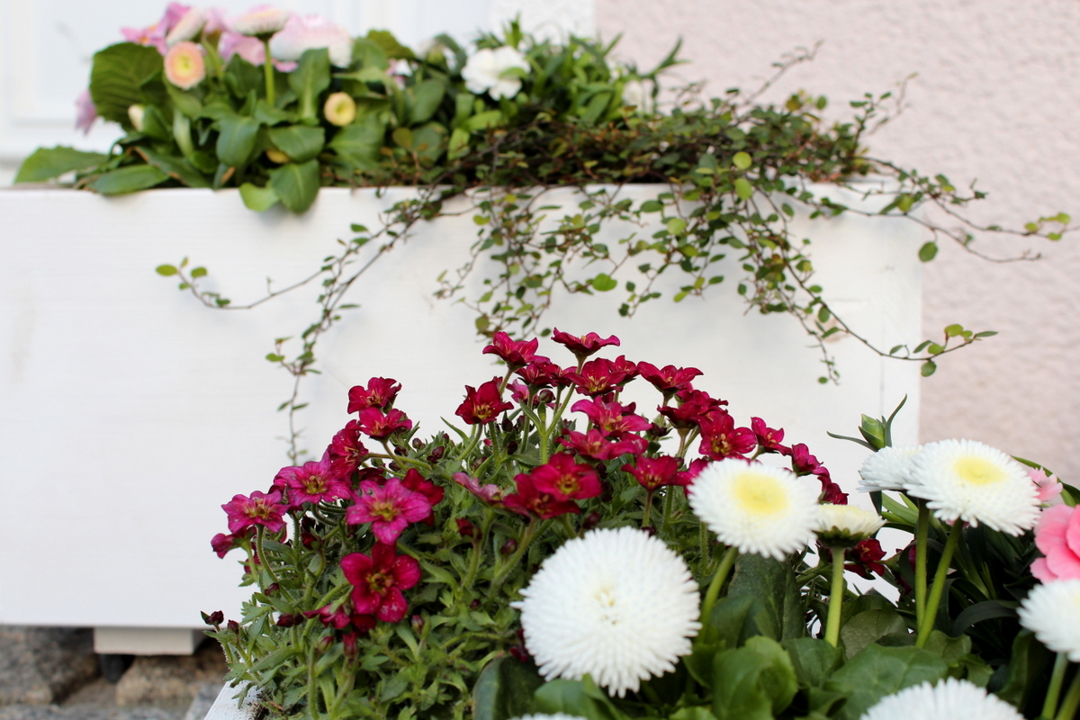 selbstgemachte / selbstgebaute Pflanzkübel aus Holz