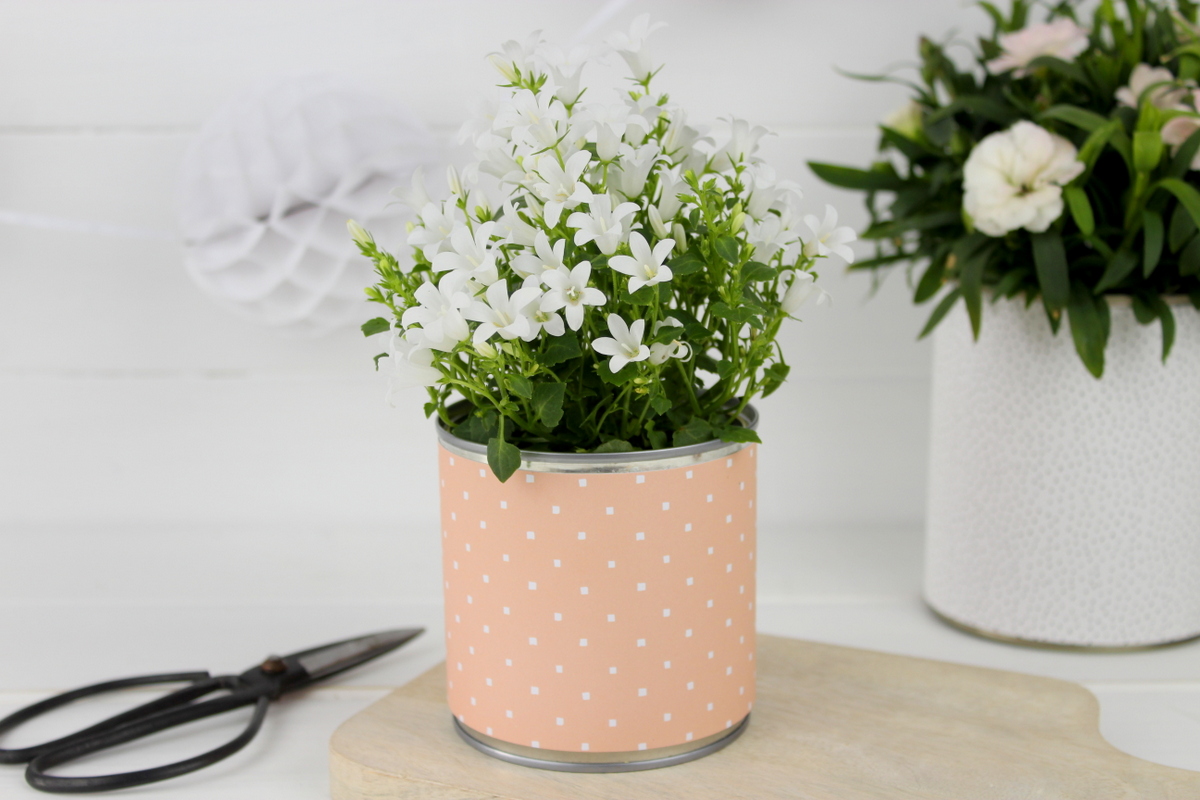 Selbstgemachtes Muttertagsgeschenk Dosen Upcycling mit Blumen und Wimpelgirlande