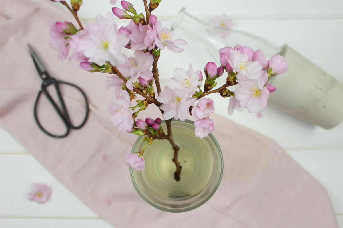 DIY Betonvase selber machen / gießen