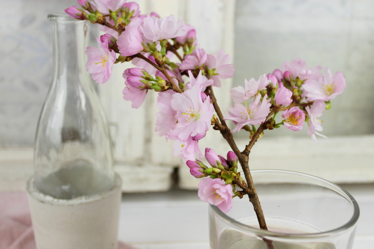 DIY Betonvase selber machen / gießen