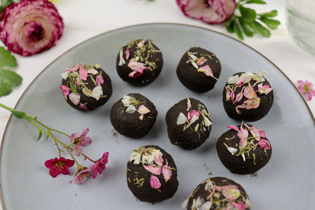 DIY Samenbomben / Seedbombs selbermachen