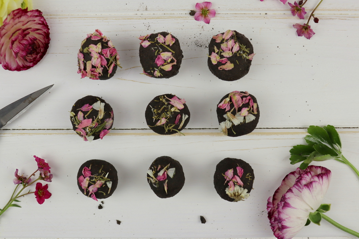 DIY Samenbomben / Seedbombs selbermachen