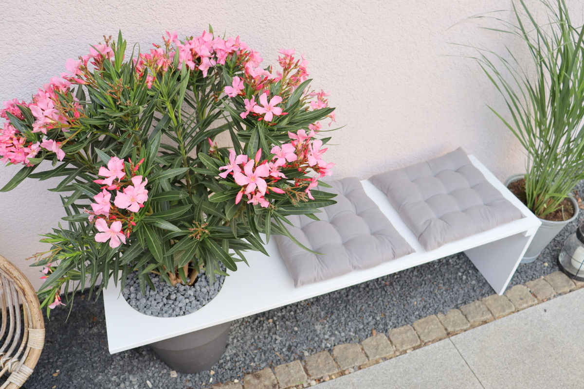 DIY - selbstgebaute Gartenbank mit Blumentopf