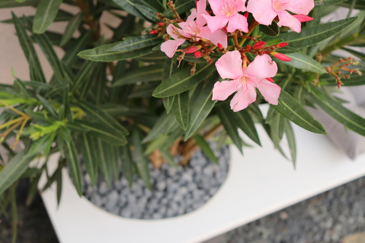 DIY - selbstgebaute Gartenbank mit Blumentopf