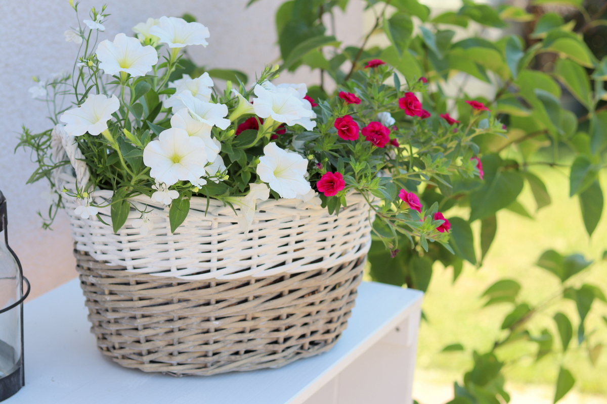 Selbstgebautes Gartenregal aus Holz + Bauplan