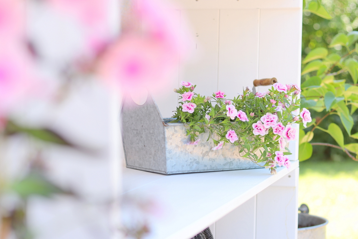 Selbstgebautes Gartenregal aus Holz + Bauplan