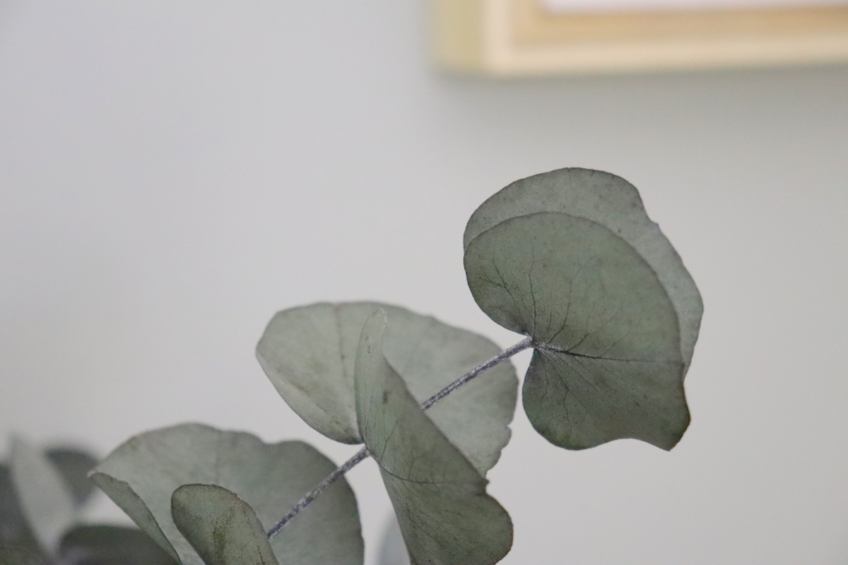 Wände richtig streichen mit Tipps und Tricks