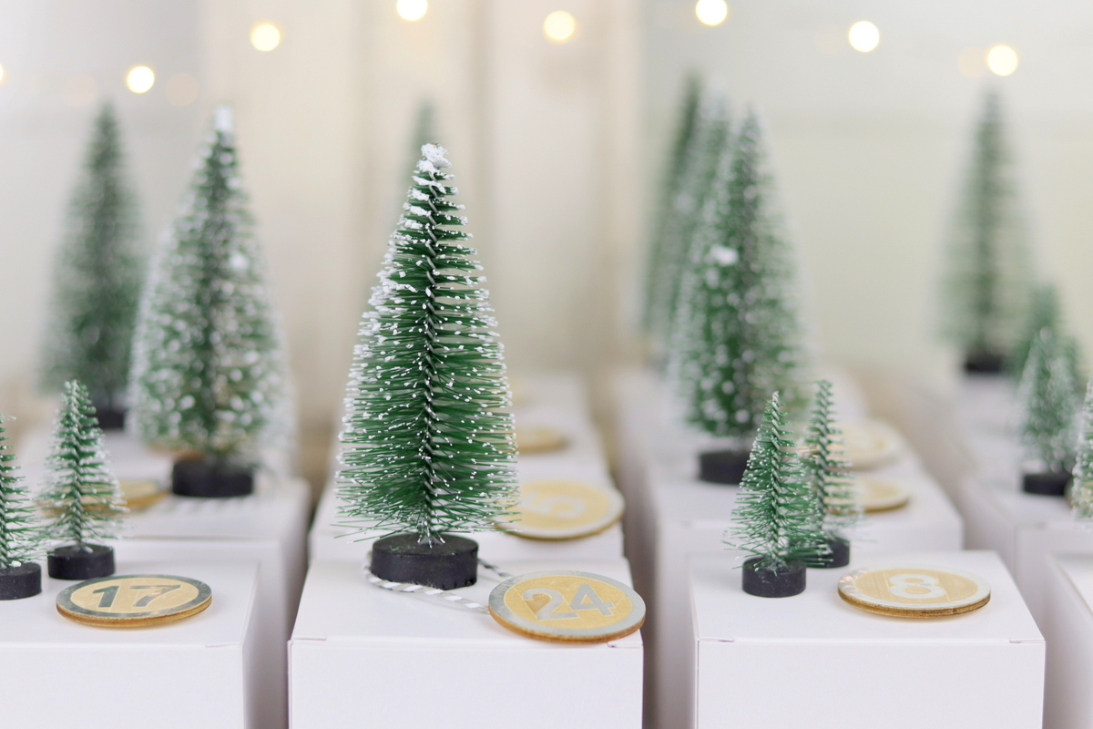 DIY Adventskalender mit Tannenbäumen selber machen