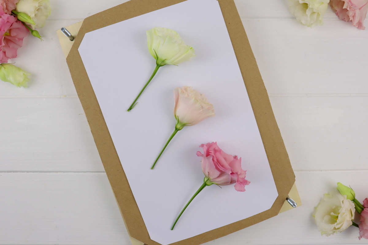 DIY selbstgebaute Blumenpresse aus Holz
