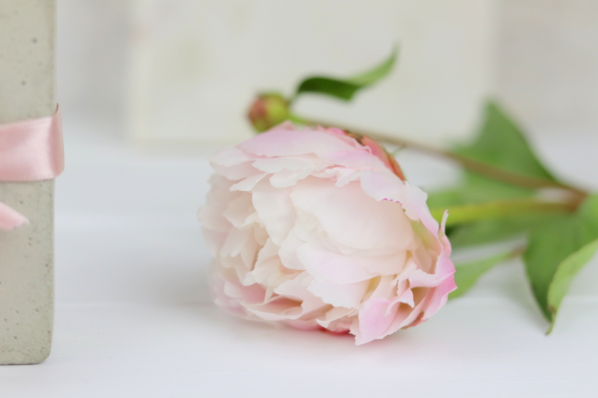 DIY selbstgemachte Häuser aus Beton mit Gießform