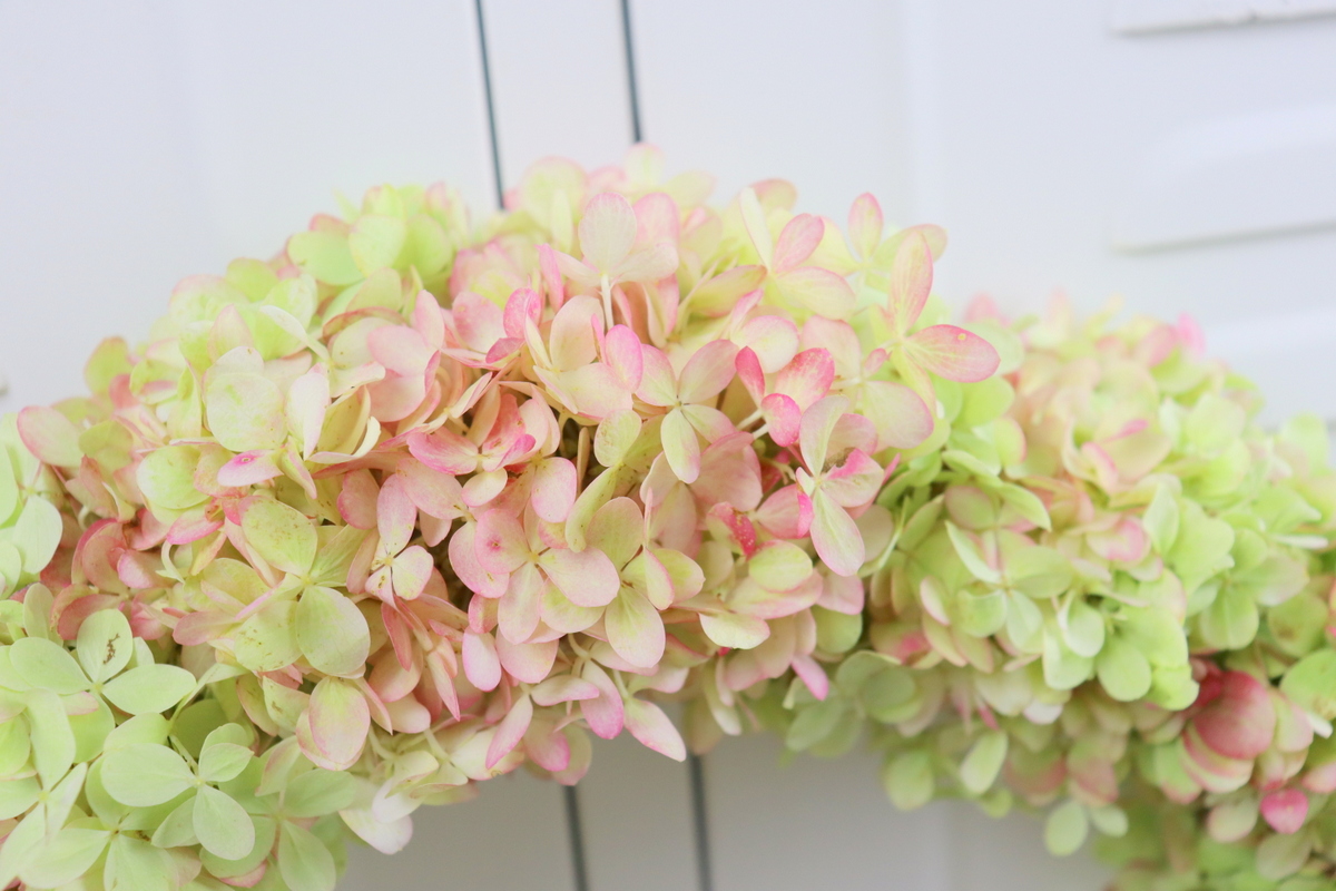 DIY Kranz aus Hortensien / Hortensienkranz einfach selber binden