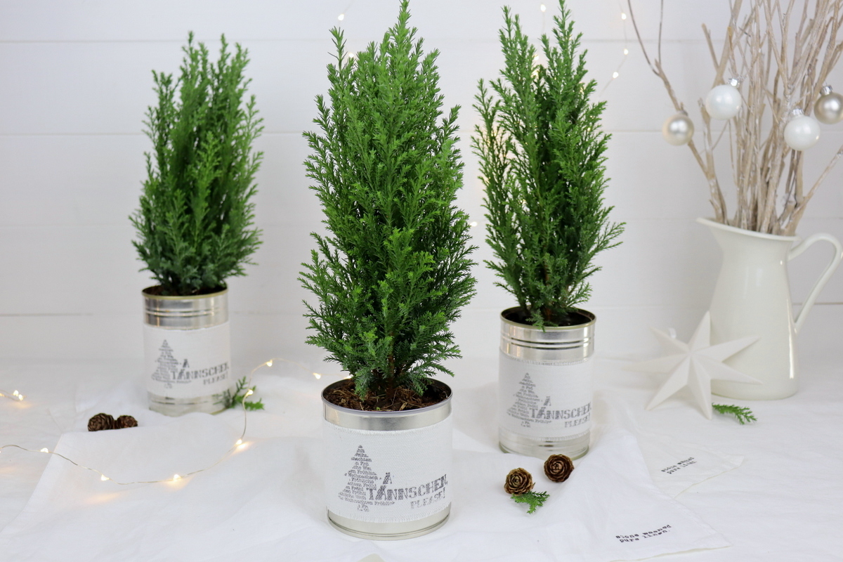 DIY Dosen Upcycling Weihnachtsgeschenk Tannenbaum