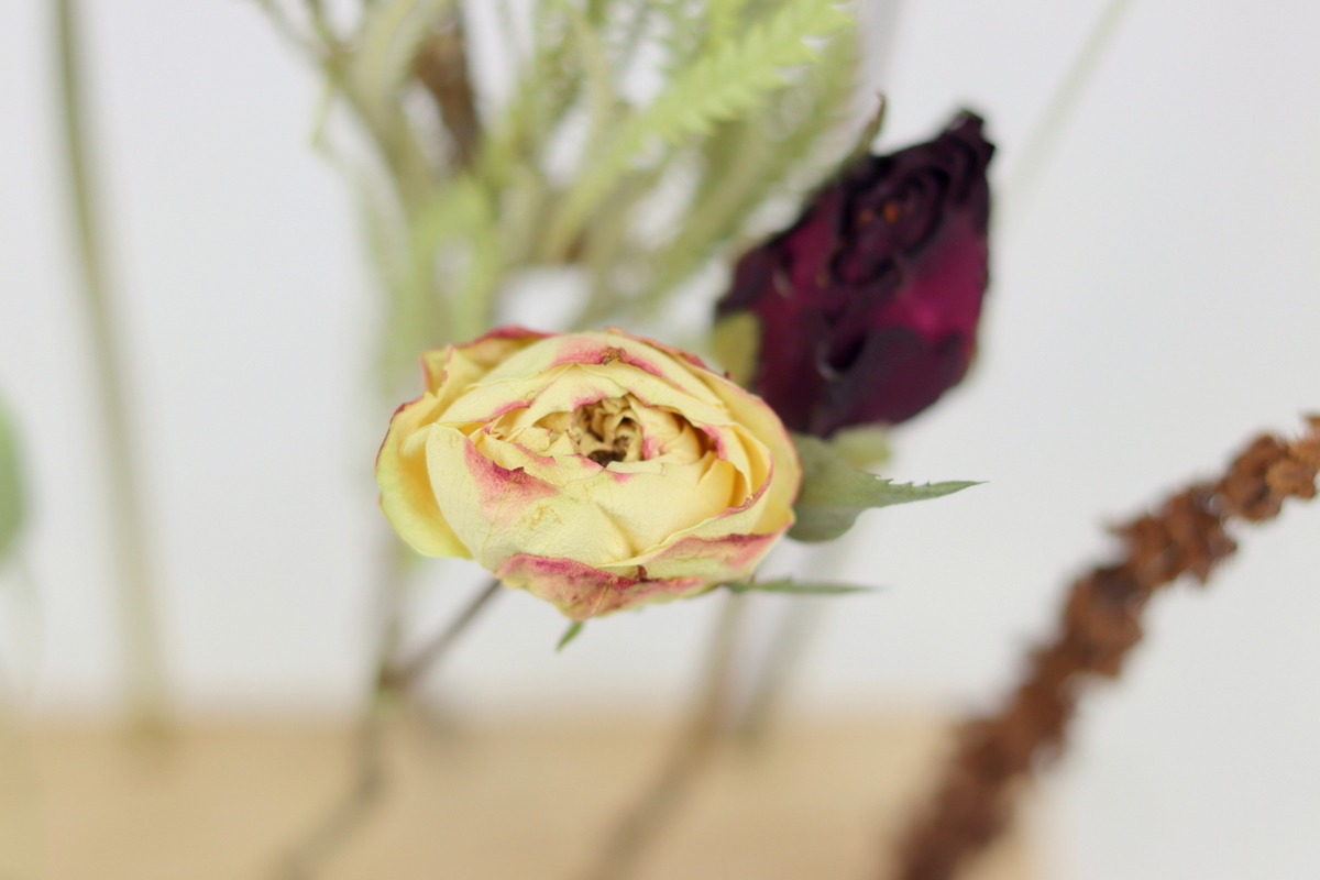 DIYCarinchen - DIY Blog