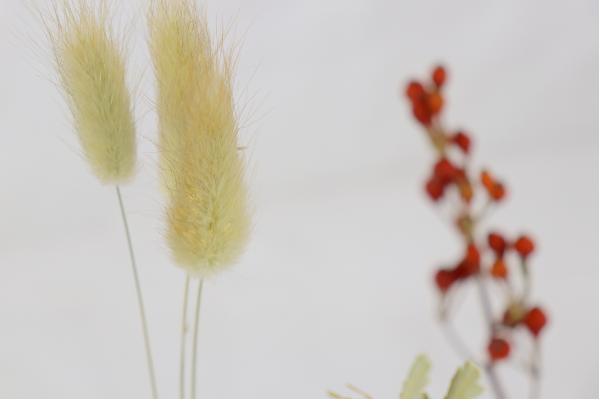 DIYCarinchen - DIY Blog