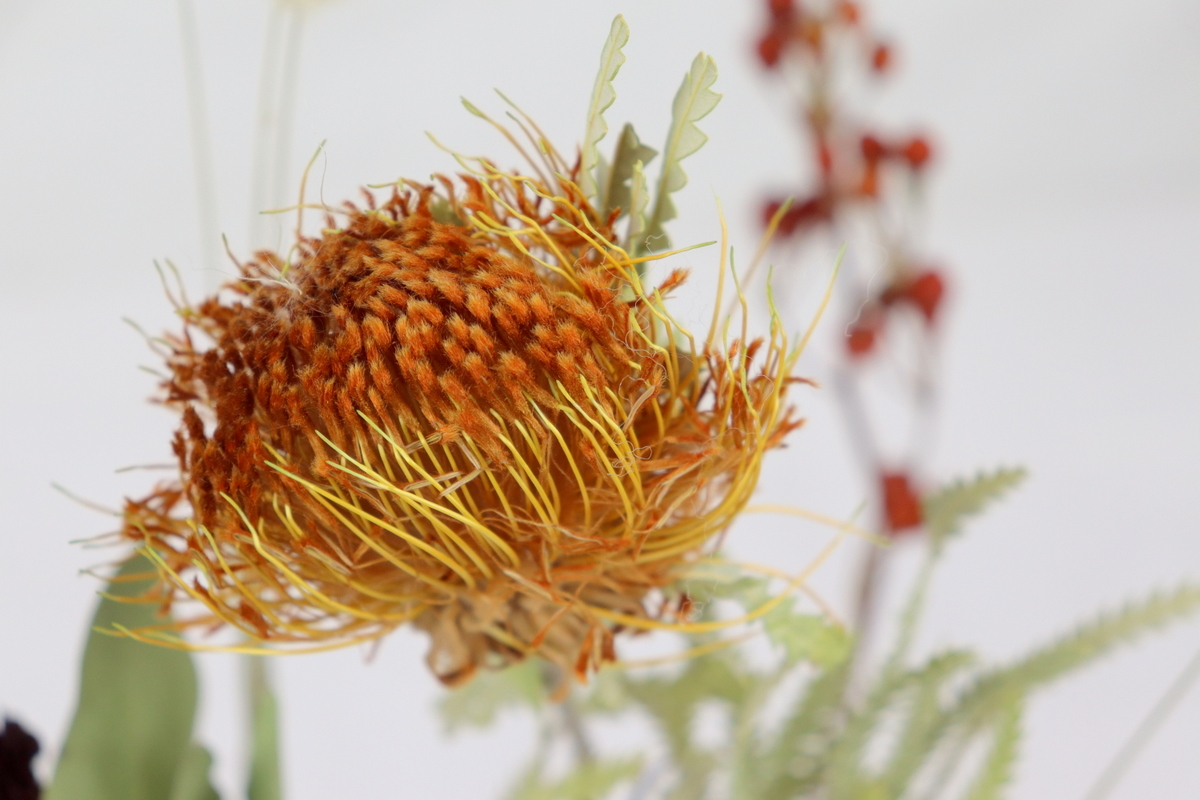 DIYCarinchen - DIY Blog