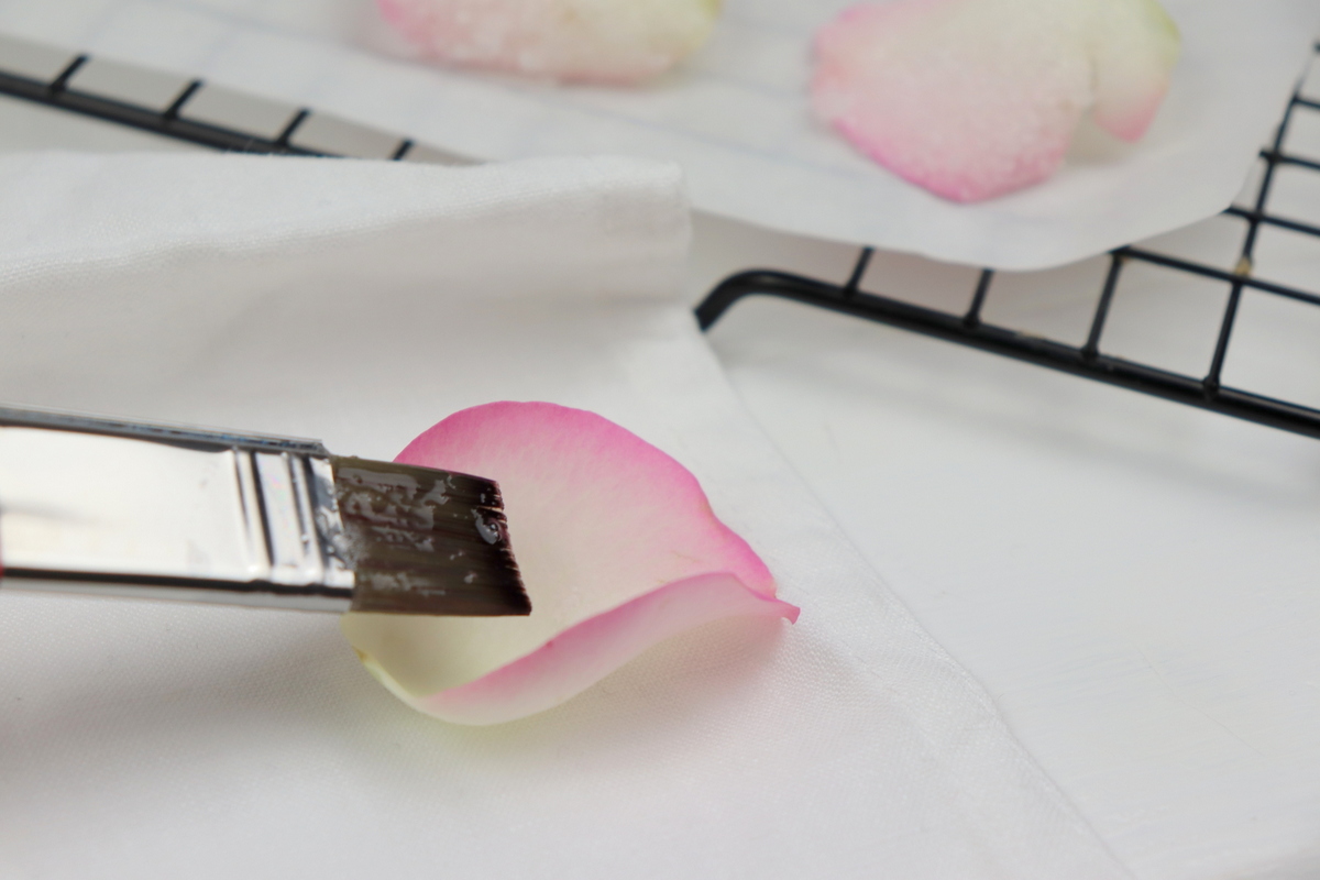 Rezept - selbstgemachte, kandierte Rosenblätter