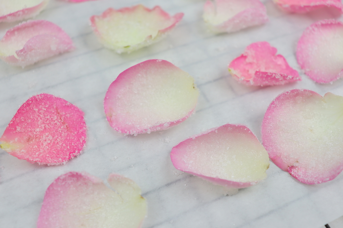 Rezept - selbstgemachte, kandierte Rosenblätter