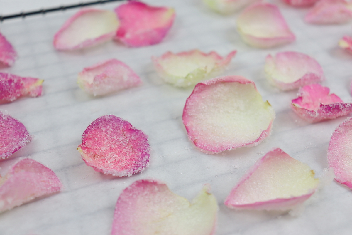 Rezept - selbstgemachte, kandierte Rosenblätter
