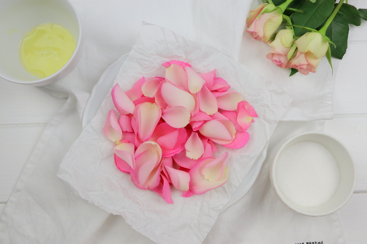 Rezept - selbstgemachte, kandierte Rosenblätter