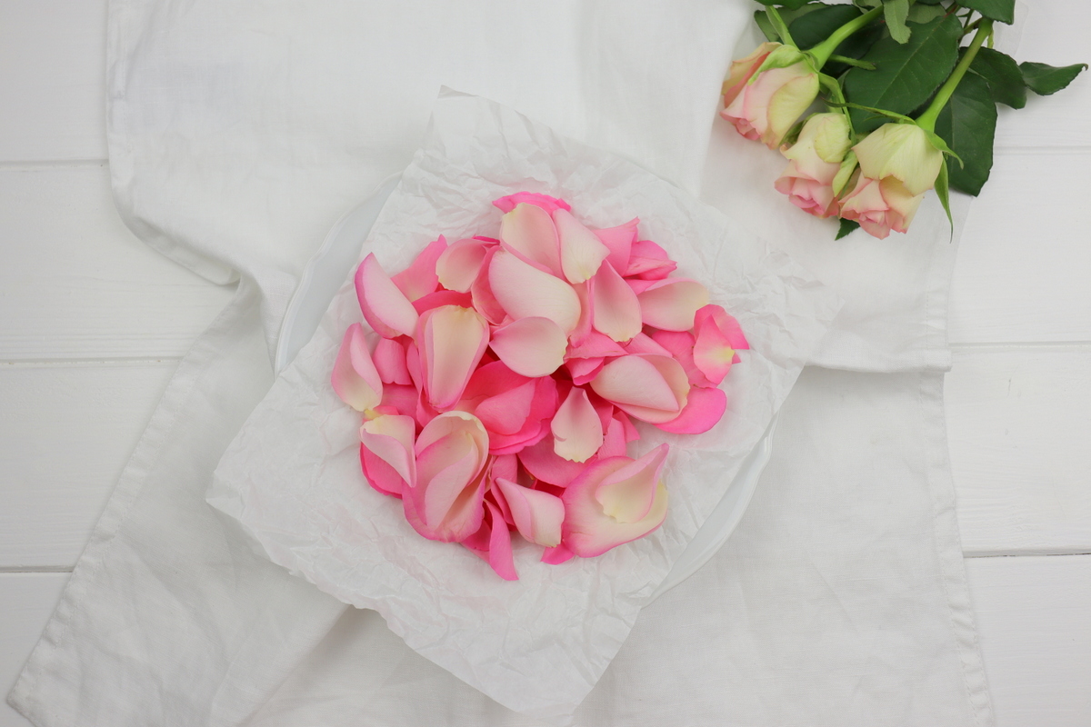 Rezept - selbstgemachte, kandierte Rosenblätter
