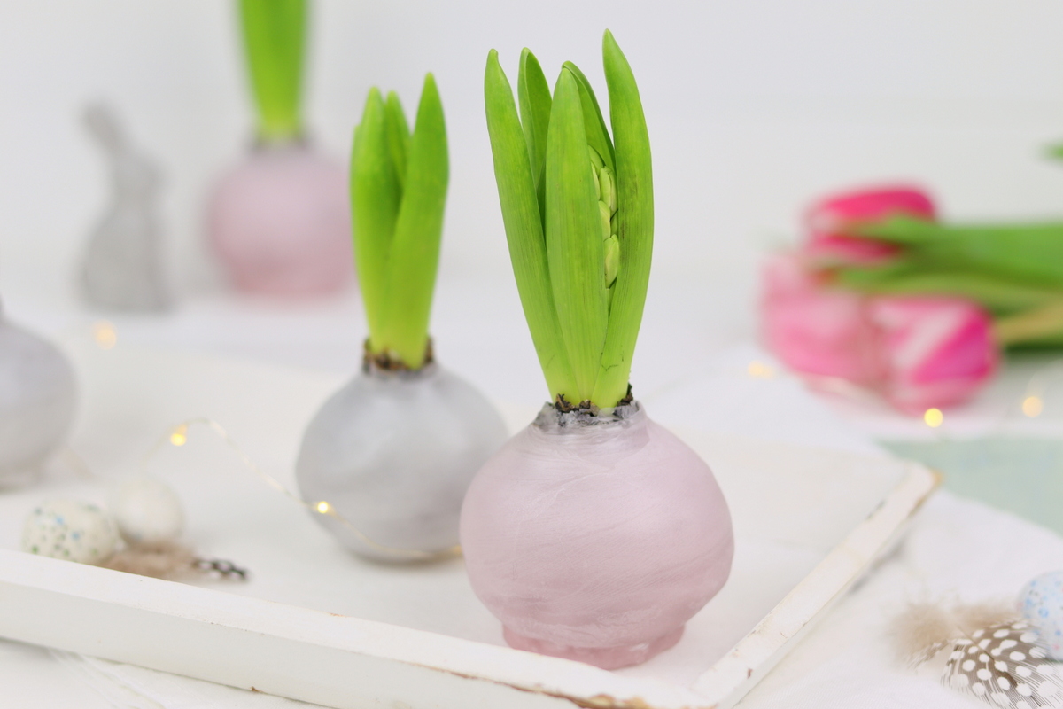 DIY selbstgemachte Hyazinthen in Wachs für den Frühling
