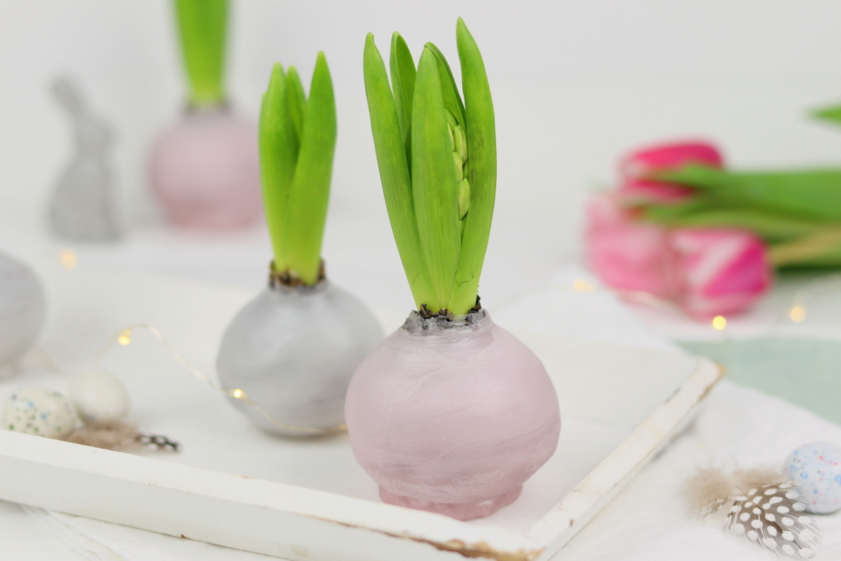 DIY selbstgemachte Hyazinthen in Wachs für den Frühling